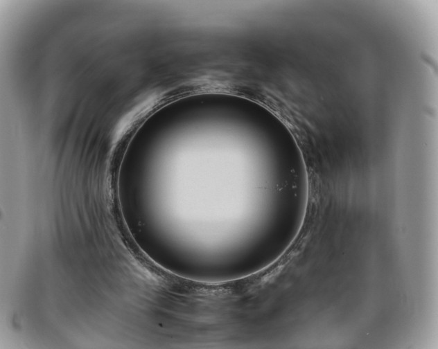 X0000095910245200801181402