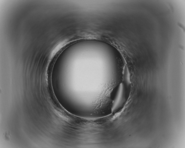 X0000095910246200801181402