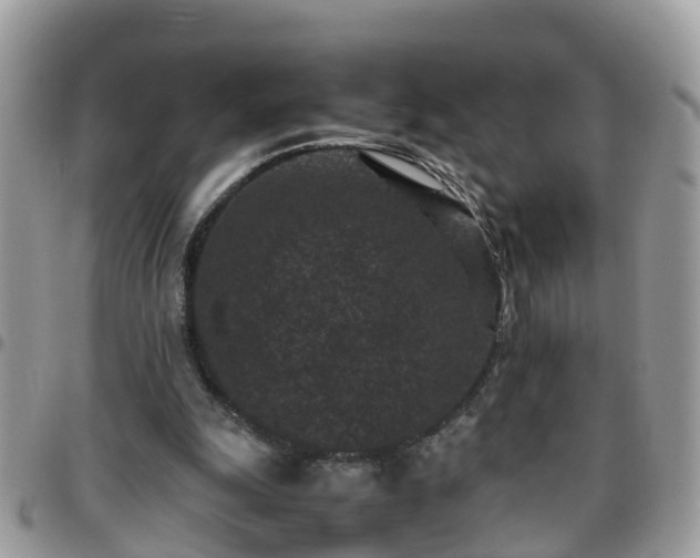 X0000095910247200801181402