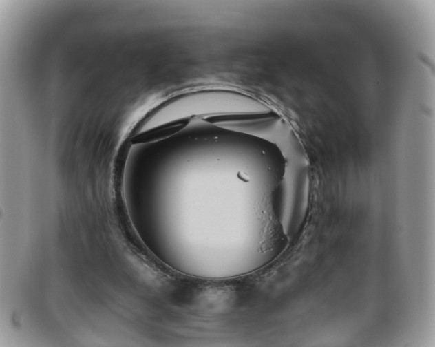 X0000095910248200801181402