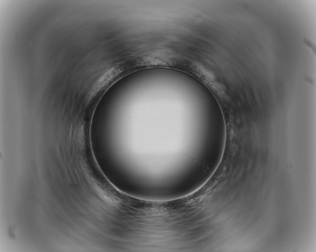 X0000095910250200801181402