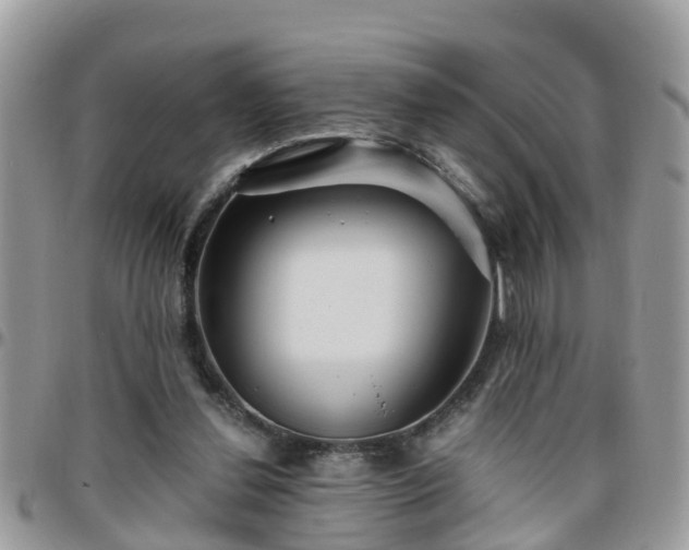 X0000095910252200801181402