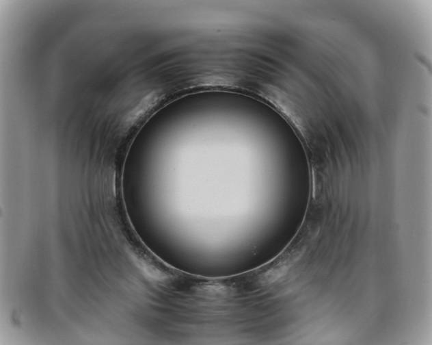 X0000095910253200801181402