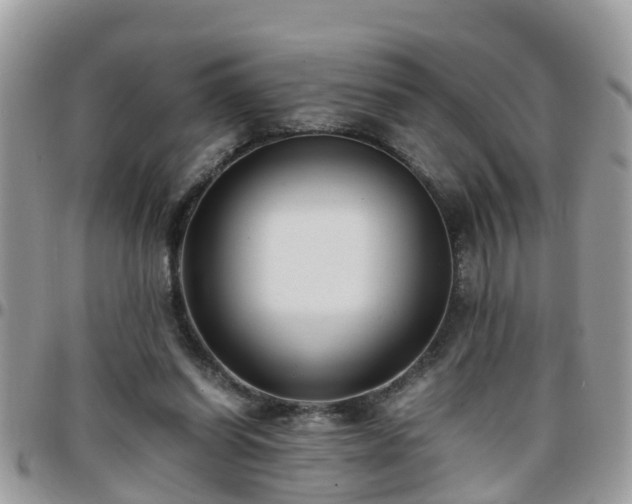 X0000095910254200801181402