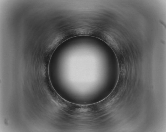 X0000095910255200801181402