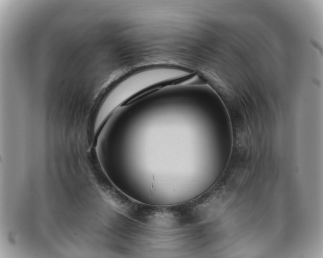 X0000095910256200801181402