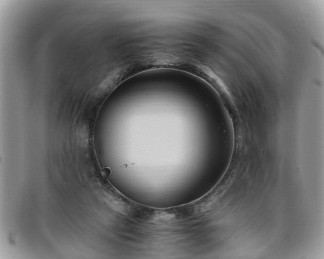 X0000095910257200801181402