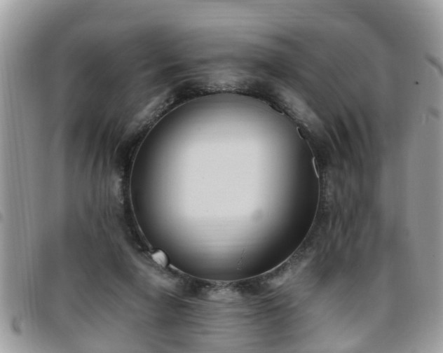 X0000095910258200801181402