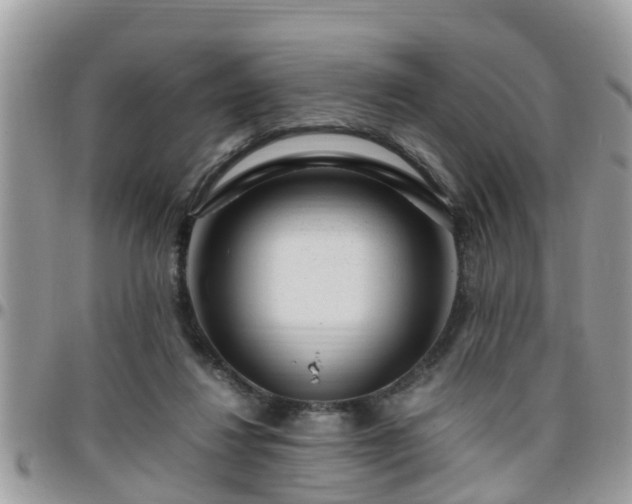 X0000095910260200801181402