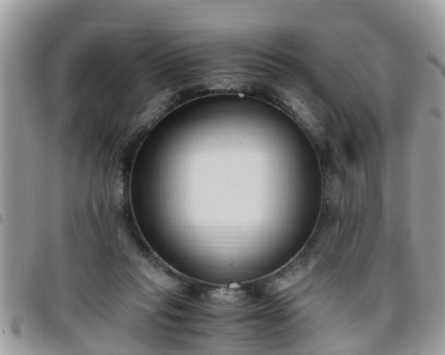 X0000095910261200801181402