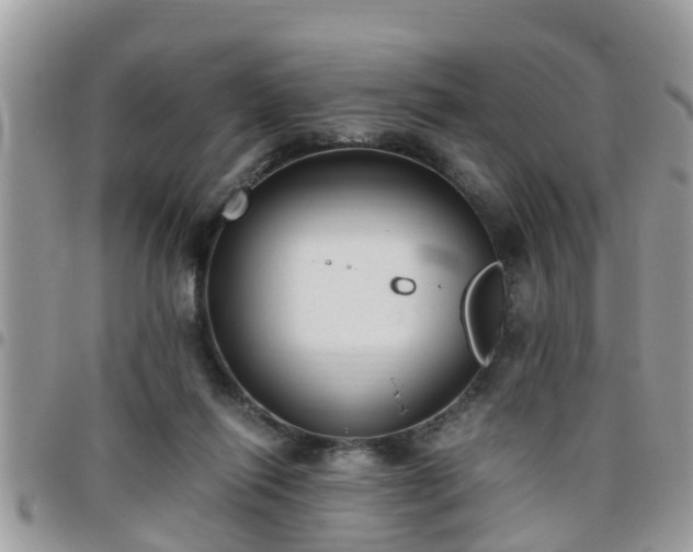 X0000095910262200801181402