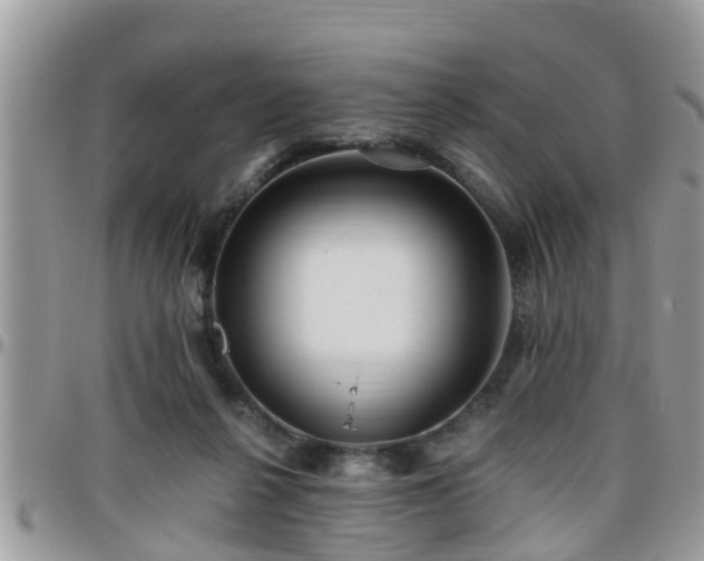 X0000095910264200801181402