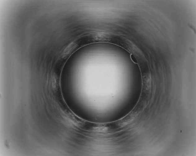 X0000095910266200801181402