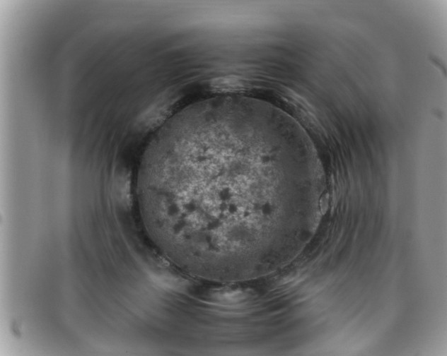 X0000095910267200801181402