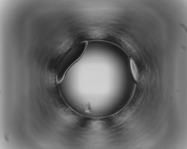 X0000095910268200801181402