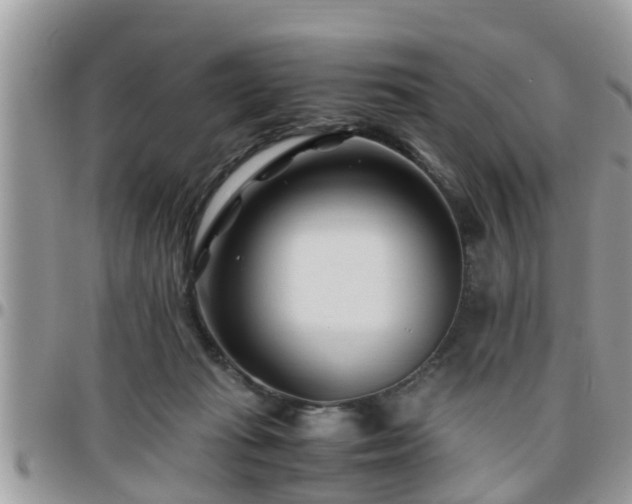 X0000095910269200801181402