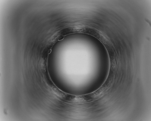 X0000095910270200801181402