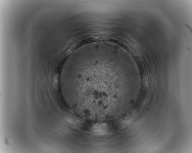 X0000095910271200801181402