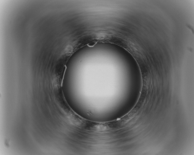 X0000095910272200801181402