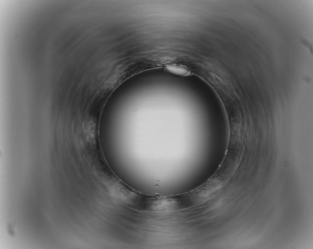 X0000095910274200801181402