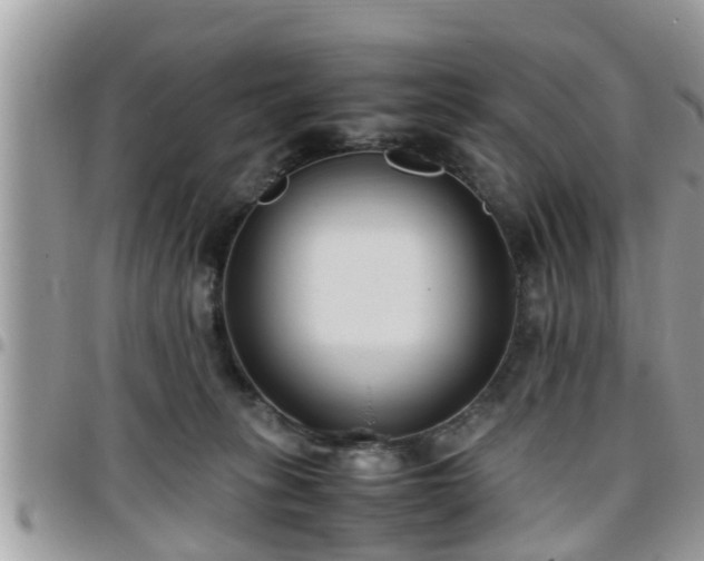 X0000095910275200801181402