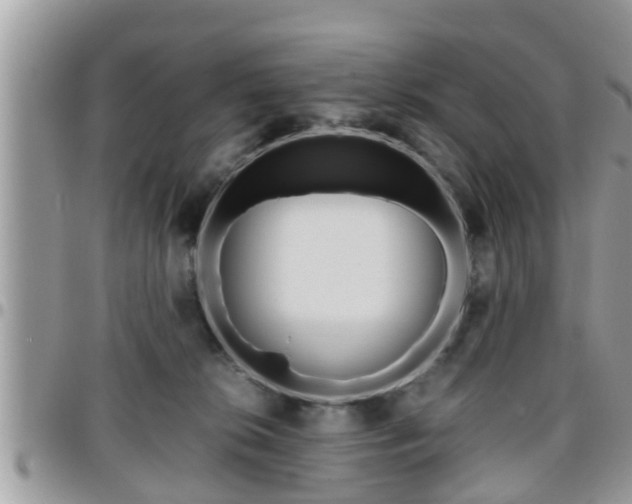 X0000095910276200801181402