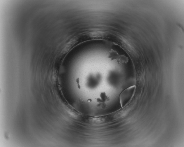 X0000095910277200801181402