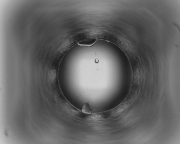 X0000095910278200801181402