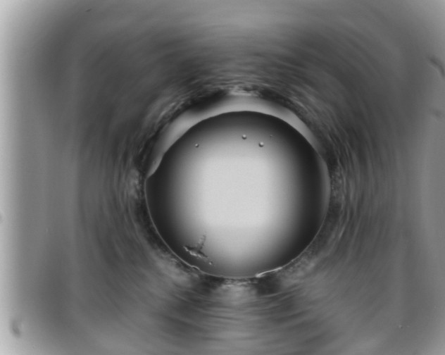 X0000095910280200801181402