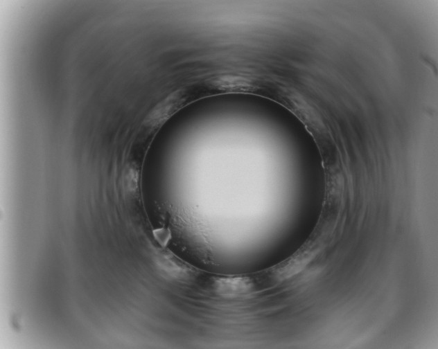 X0000095910281200801181402