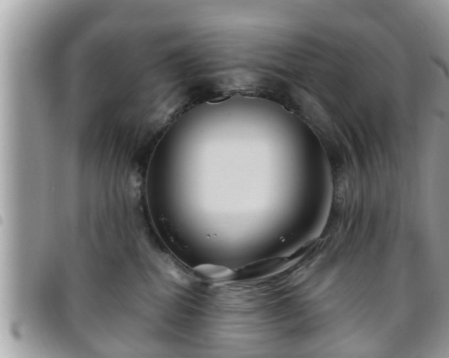 X0000095910282200801181402