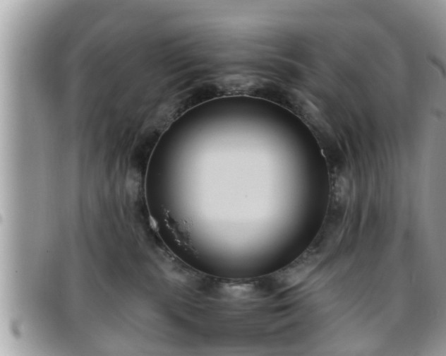 X0000095910283200801181402