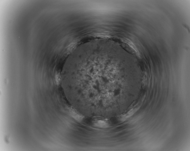 X0000095910285200801181402