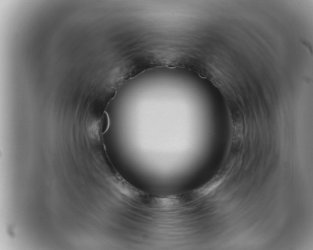 X0000095910286200801181402