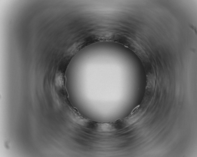 X0000095910287200801181402