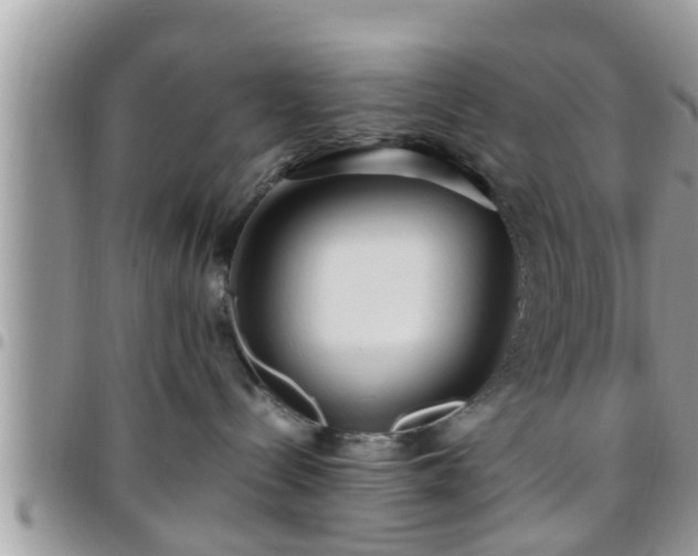 X0000095910288200801181402