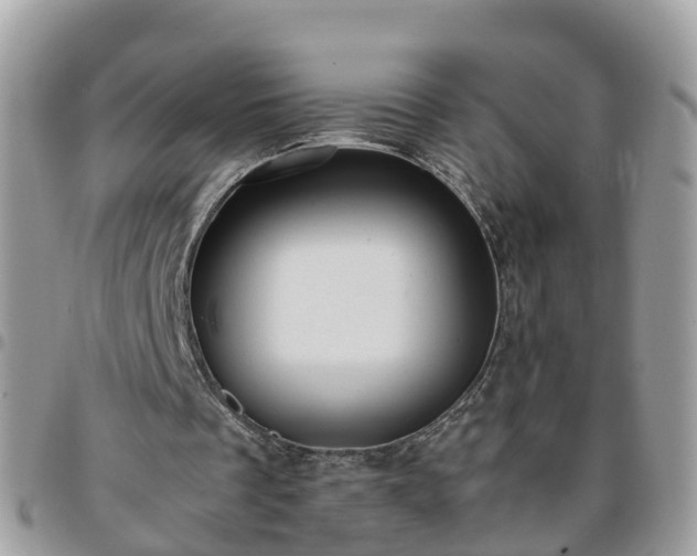 X0000095910289200801181402