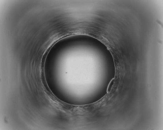 X0000095910290200801181402