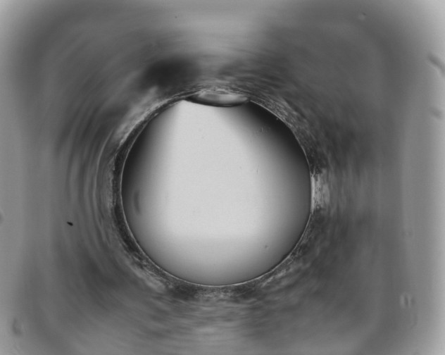 X0000095910291200801181402