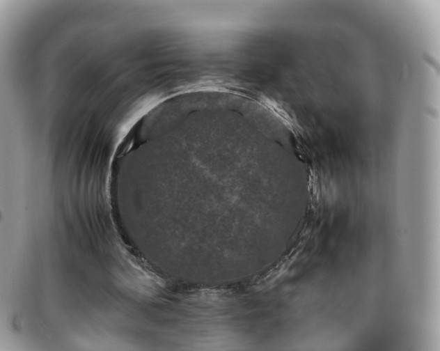 X0000095910292200801181402