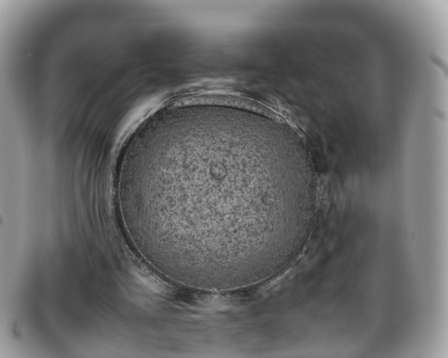 X0000095910293200801181402