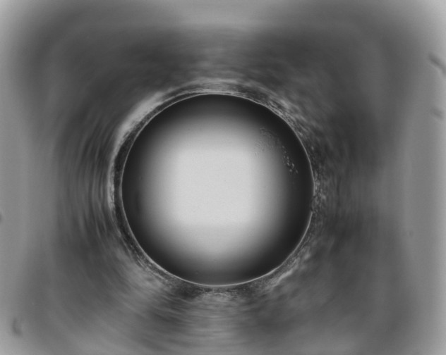 X0000095910294200801181402