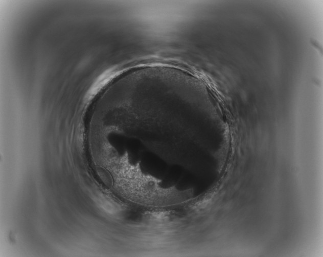 X0000095910295200801181402