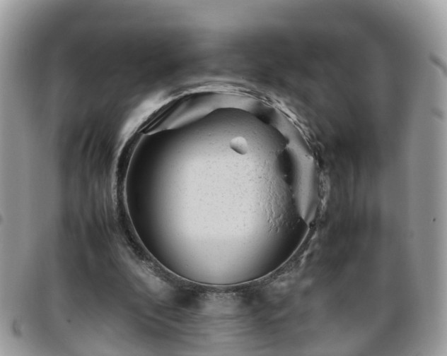 X0000095910296200801181402