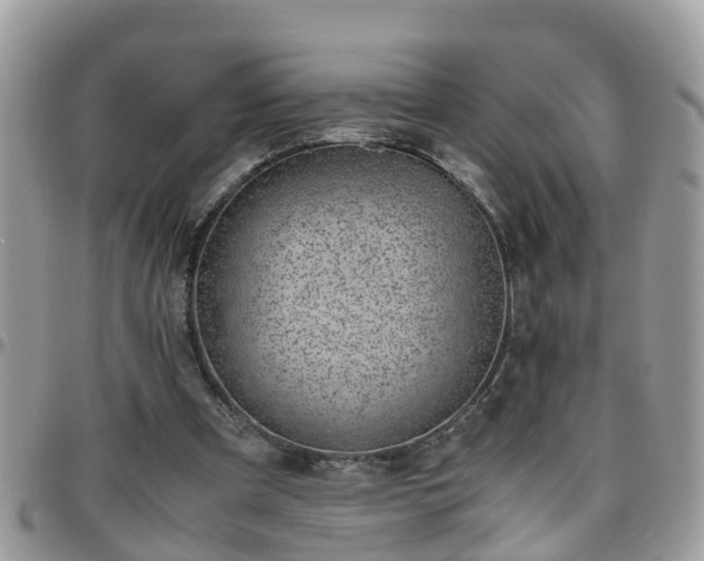 X0000095910297200801181402