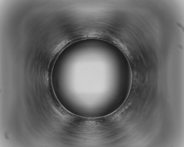 X0000095910298200801181401