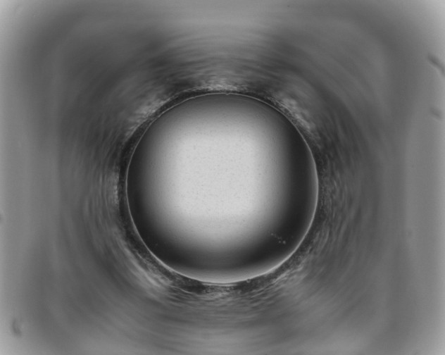 X0000095910299200801181401