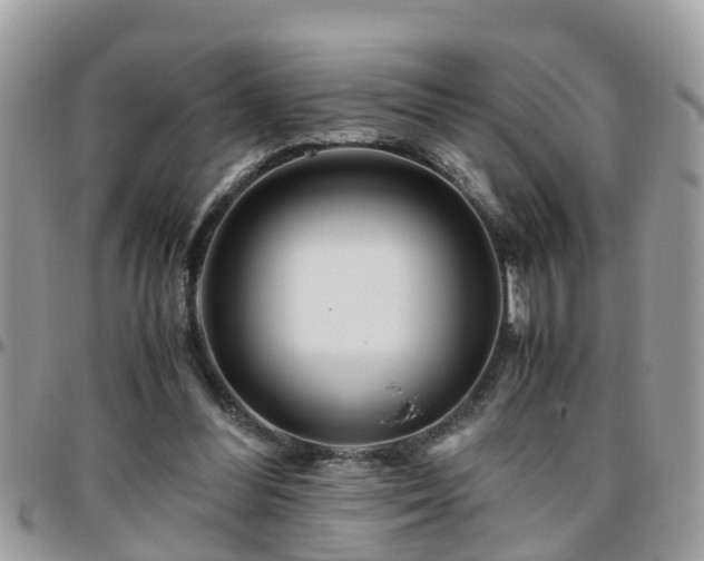 X0000095910300200801181401