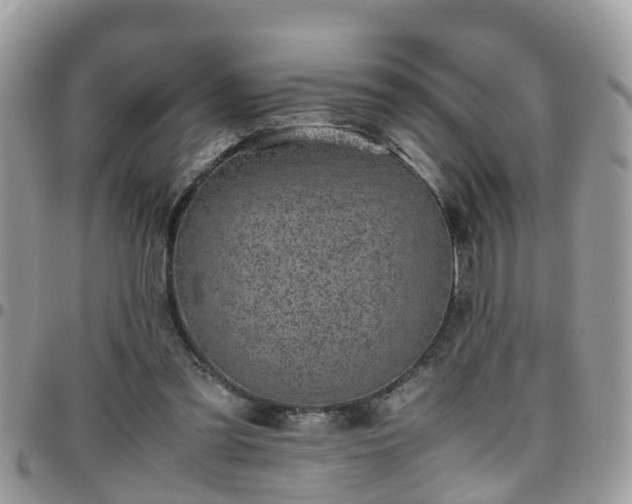 X0000095910301200801181401