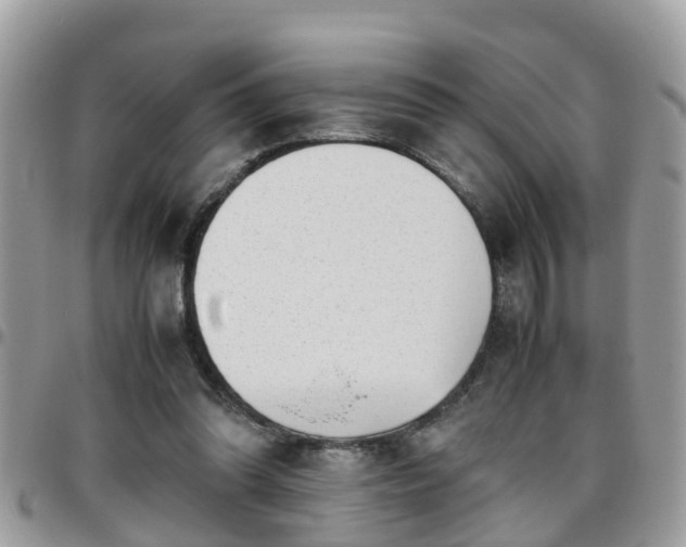 X0000095910302200801181401